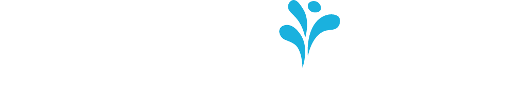 Donation Spring logo