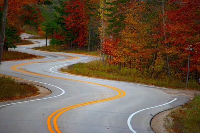 winding road picture